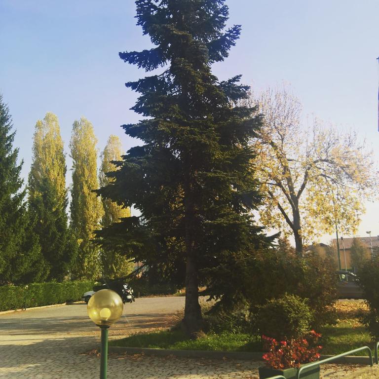 Hotel Romanisio Фоссано Екстер'єр фото